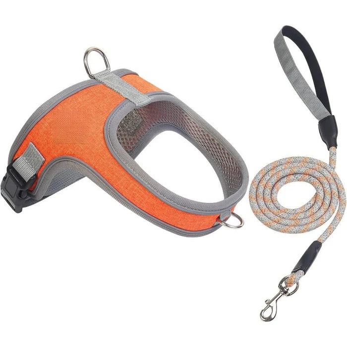 Pawluna – Breathable Reflective Dog Harness & Leash Set