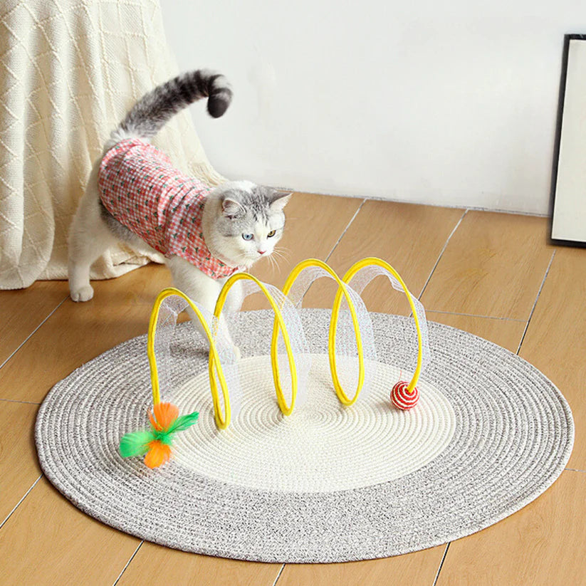 Whirra – Interactive Cat Spiral Toy for Active Play & Mental Stimulation