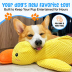 Zylera – Indestructible Duck Dog Toy for Anxiety & Play