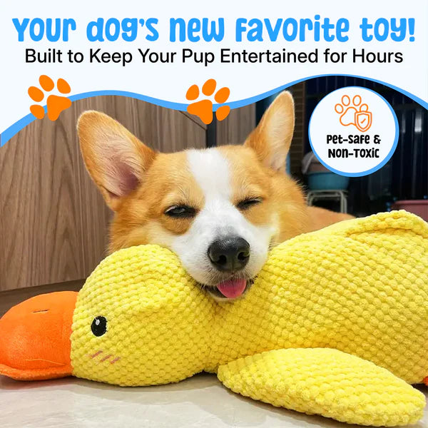 Zylera – Indestructible Duck Dog Toy for Anxiety & Play