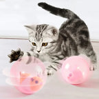 Hambera – Interactive Hamster Play Ball