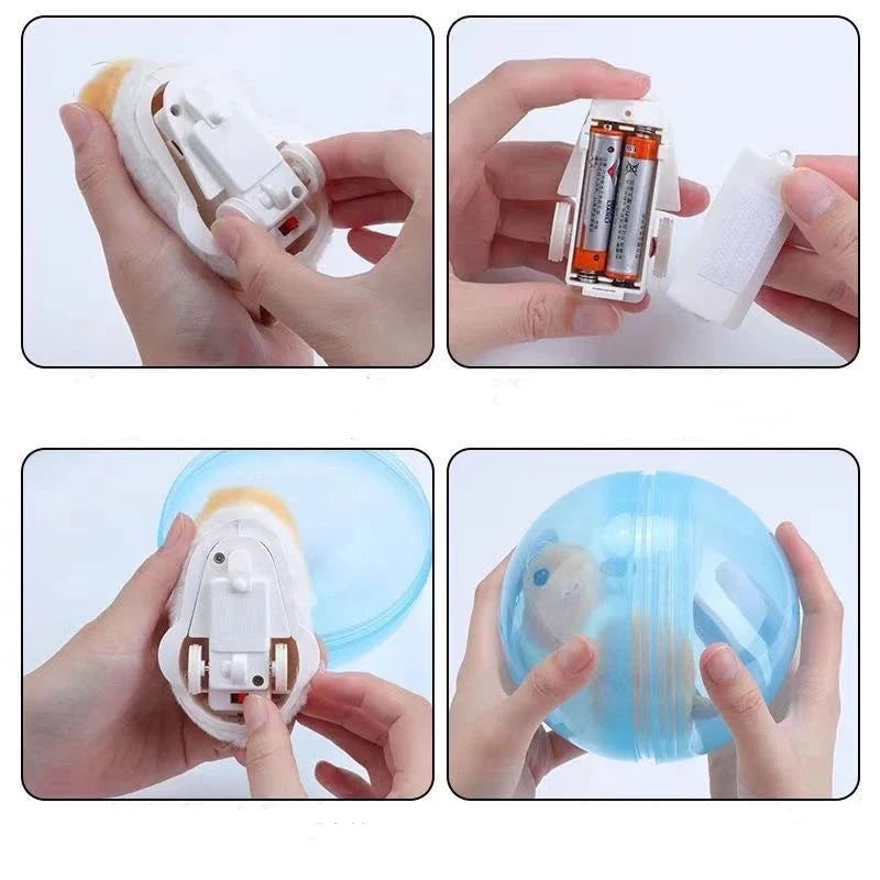 Hambera – Interactive Hamster Play Ball