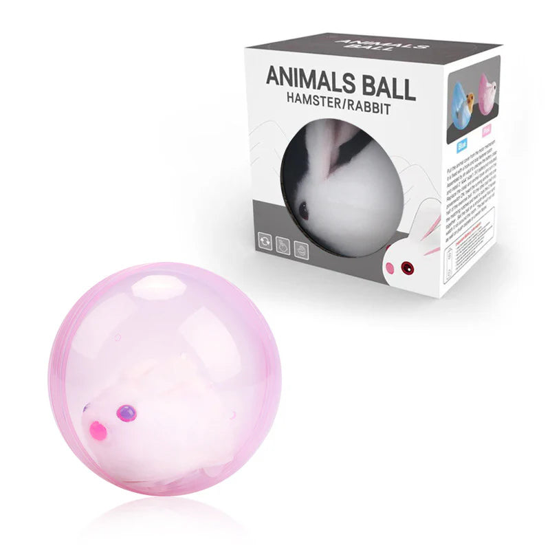 Hambera – Interactive Hamster Play Ball