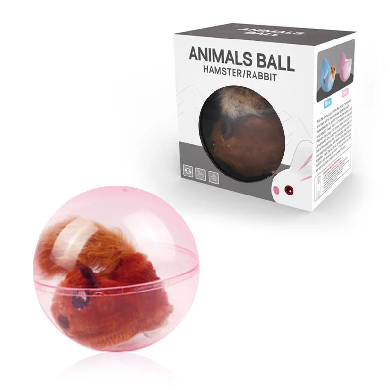 Hambera – Interactive Hamster Play Ball