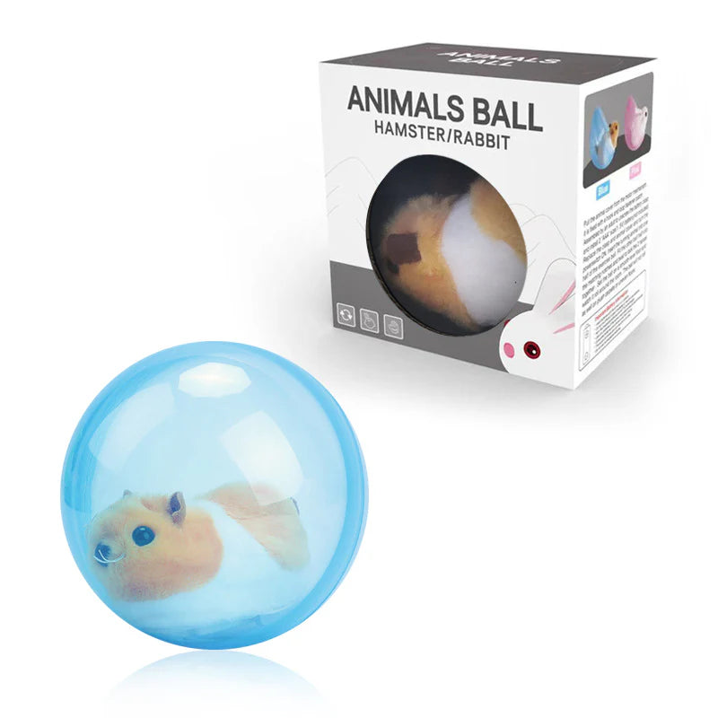 Hambera – Interactive Hamster Play Ball