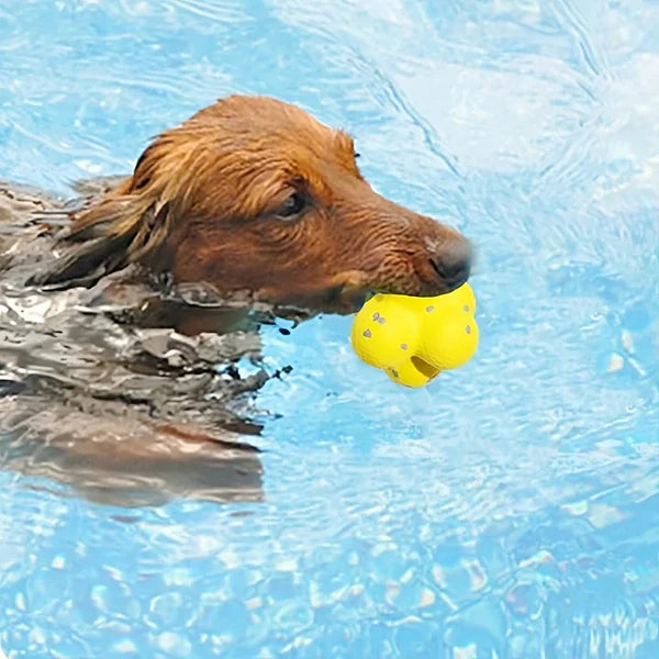 Zenvora – Durable Interactive Dog Ball Toy for Chewing, Fetch & Stress Relief