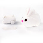 Hambera – Interactive Hamster Play Ball