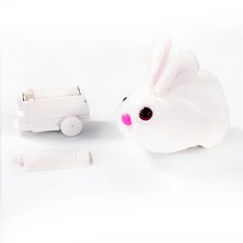 Hambera – Interactive Hamster Play Ball