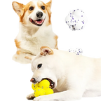 Zenvora – Durable Interactive Dog Ball Toy for Chewing, Fetch & Stress Relief