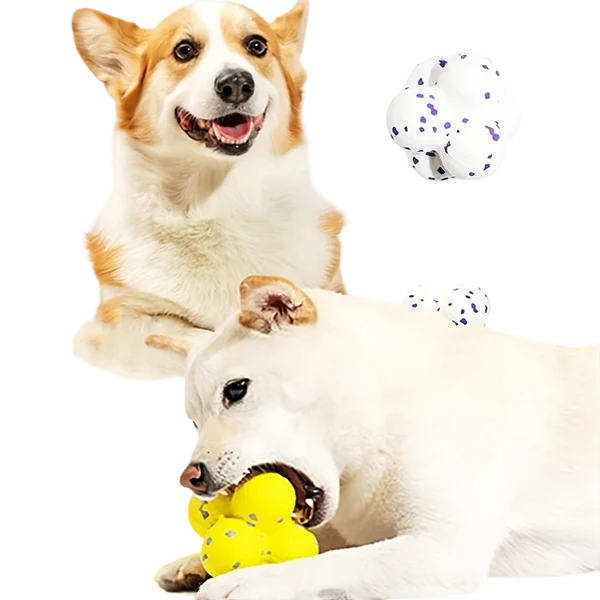 Zenvora – Durable Interactive Dog Ball Toy for Chewing, Fetch & Stress Relief