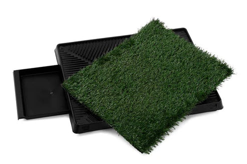 Pawlina – Portable Dog & Cat Potty Trainer Pad | Washable & Reusable