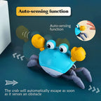 Crabira – Interactive Runaway Crab Pet Toy for Dogs & Cats