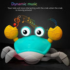 Crabira – Interactive Runaway Crab Pet Toy for Dogs & Cats