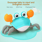 Crabira – Interactive Runaway Crab Pet Toy for Dogs & Cats