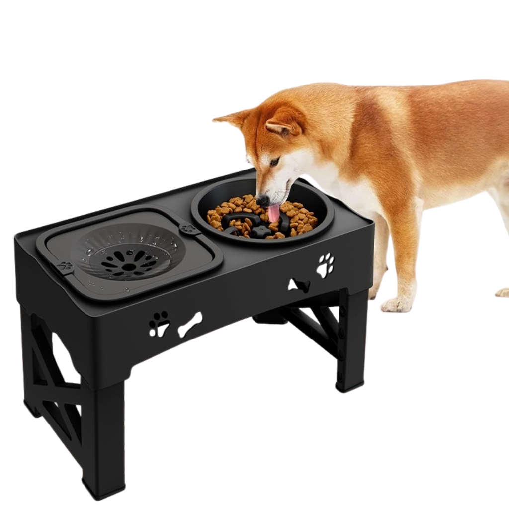 Bowlvera – 3-in-1 Adjustable Slow Feed Pet Bowl for Dogs & Cats