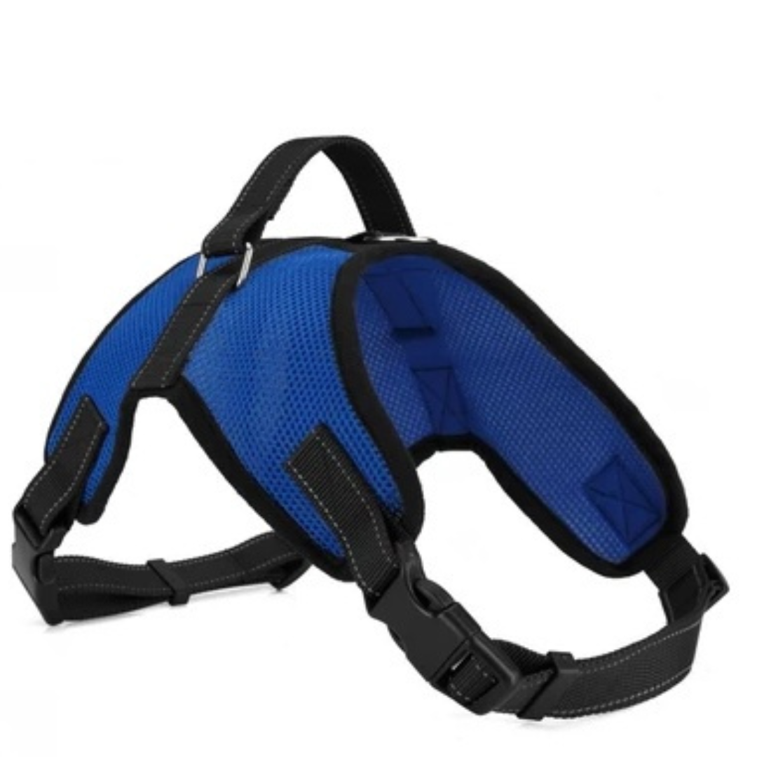 Lunorra – Gentle No-Pull Dog Harness for Happy, Calm Walks