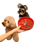 Furrora – Ceramic Slow Feeder Dog Bowl