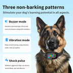 Barklyn – Safe & Gentle Anti-Bark Dog Collar
