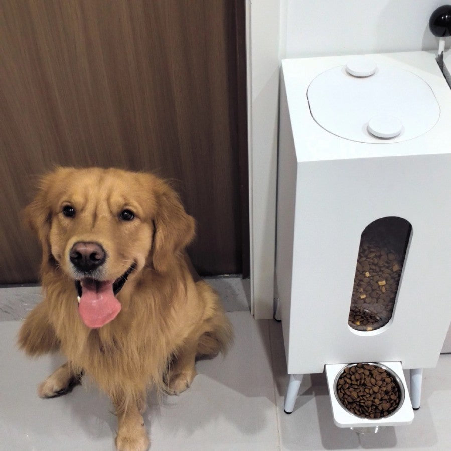 Mewtro – Smart Pet Feeder with HD Camera & App Control