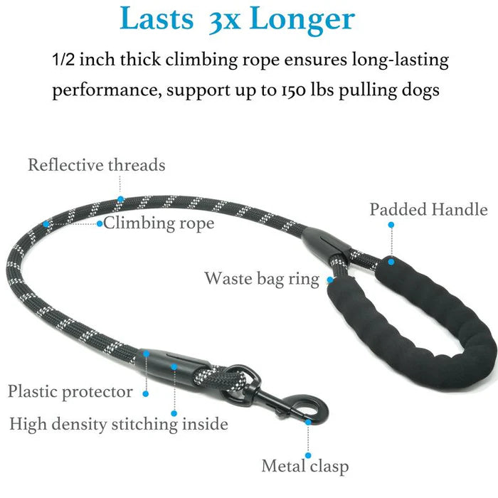 Pawvera – Heavy Duty Shock-Absorbing Dog Leash for Strong Pullers