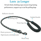 Pawvera – Heavy Duty Shock-Absorbing Dog Leash for Strong Pullers