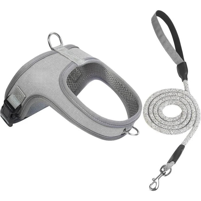 Pawluna – Breathable Reflective Dog Harness & Leash Set