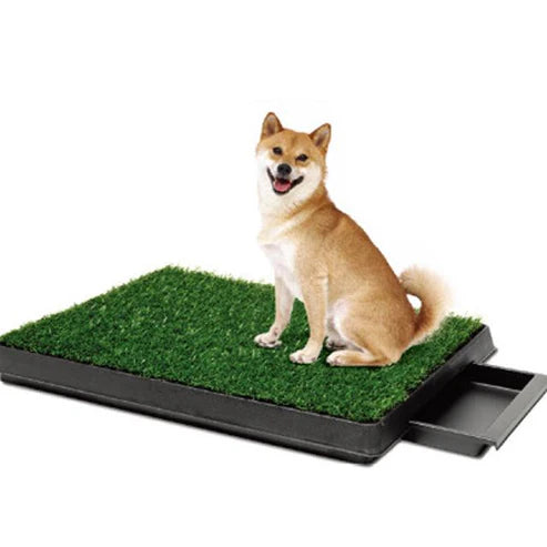 Pawlina – Portable Dog & Cat Potty Trainer Pad | Washable & Reusable