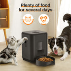 Pawlora – Smart Pet Feeder with Timed Portion Control & Remote App