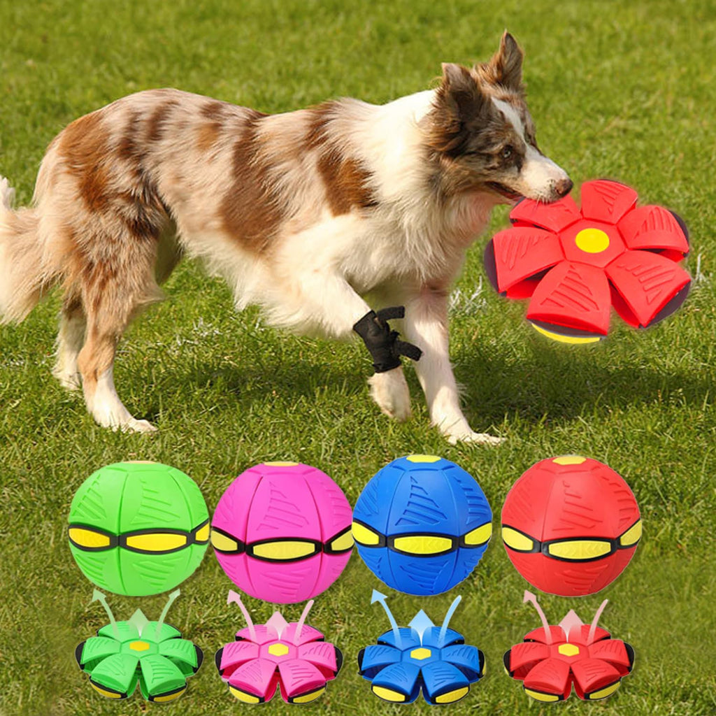 Pawzora – Transforming Flying Disc Dog Toy Ball