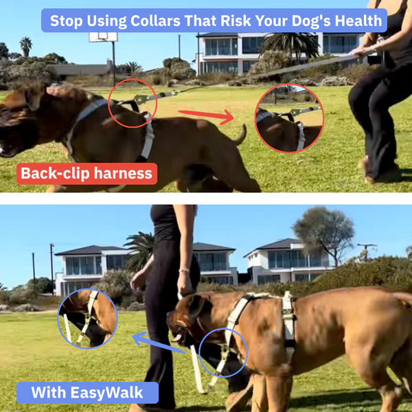 Lunorra – Gentle No-Pull Dog Harness for Happy, Calm Walks