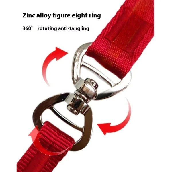 Pawsera – 2-in-1 Slip Dog Leash & Training Collar with Anti-Tangle Swivel