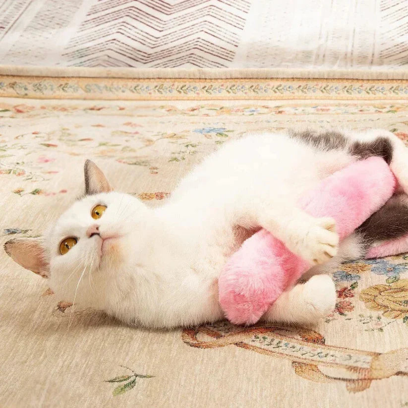 Whiskara – Catnip Plush Cushion Toy for Cats
