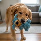 Pawlora – Interactive Giggling Dog Dental Chew Toy