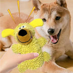 Pawlora – Interactive Giggling Dog Dental Chew Toy