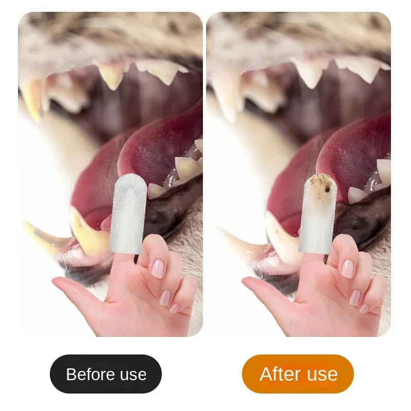 Pawdora – Tooth Cleaning Finger Wipes for Dogs & Cats | Pet Dental Care Finger Wipes