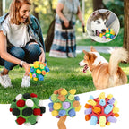 Snuffora – Interactive Snuffle Mat Dog Toy for Mental Stimulation & Slow Feeding