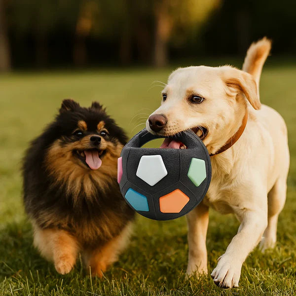 Zenvyra – Durable Dog Toy Ball for Stress Relief & Interactive Play