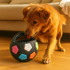 Zenvyra – Durable Dog Toy Ball for Stress Relief & Interactive Play