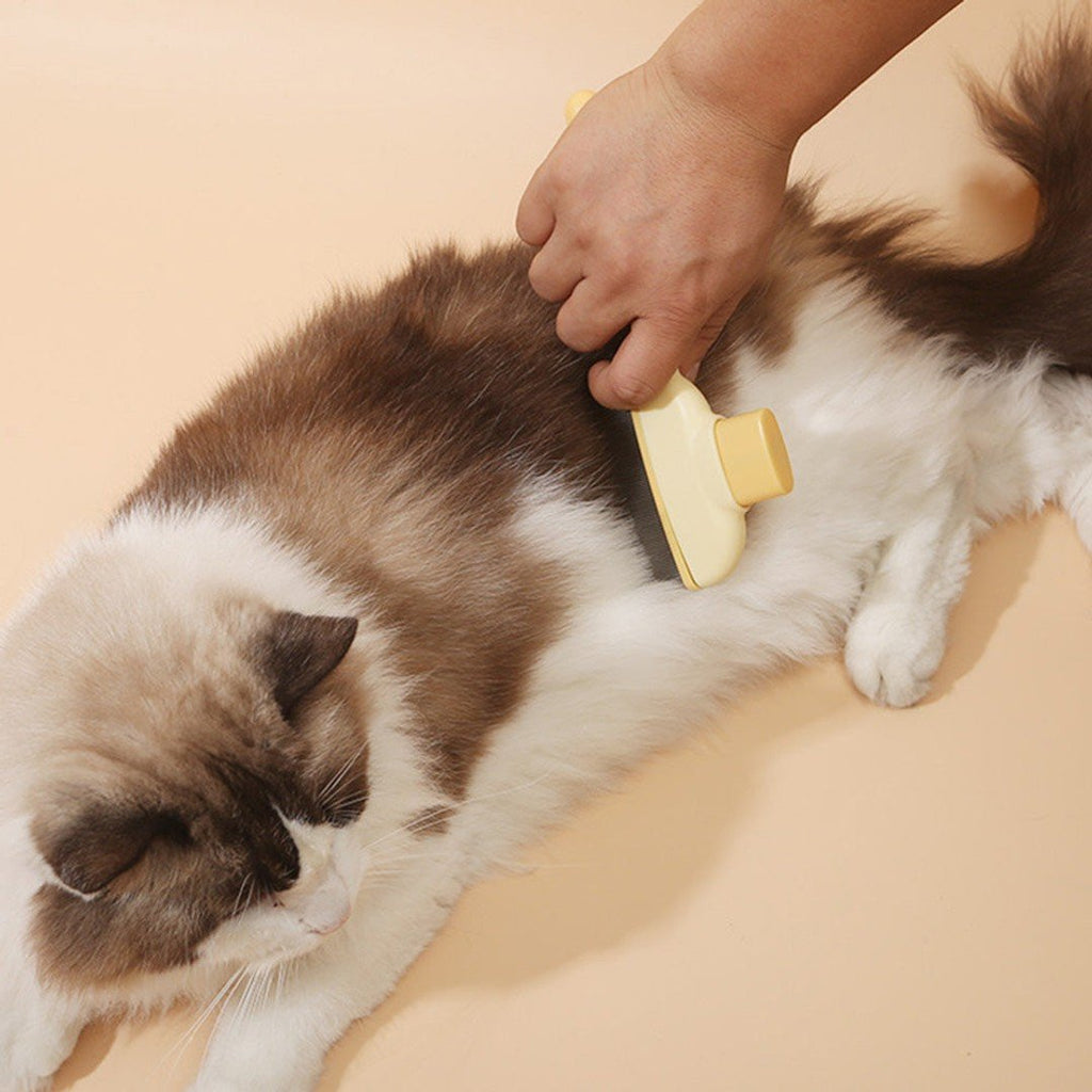 Furvela – Gentle Fur Remover & Pain Relief Brush for Pets