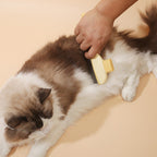 Furvela – Gentle Fur Remover & Pain Relief Brush for Pets