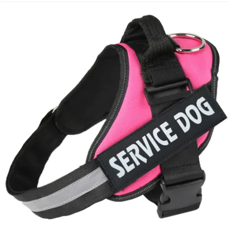 Pawdrix – Personalized No-Pull Dog Harness with Custom Name Tag