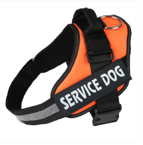 Pawdrix – Personalized No-Pull Dog Harness with Custom Name Tag
