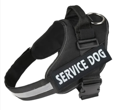 Pawdrix – Personalized No-Pull Dog Harness with Custom Name Tag