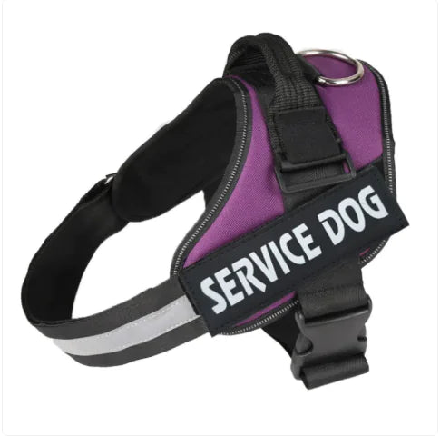 Pawdrix – Personalized No-Pull Dog Harness with Custom Name Tag