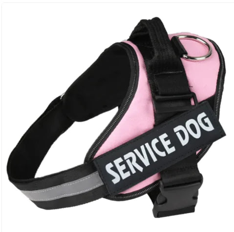 Pawdrix – Personalized No-Pull Dog Harness with Custom Name Tag