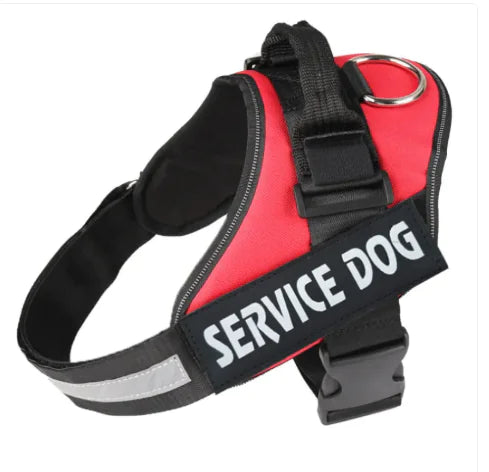 Pawdrix – Personalized No-Pull Dog Harness with Custom Name Tag