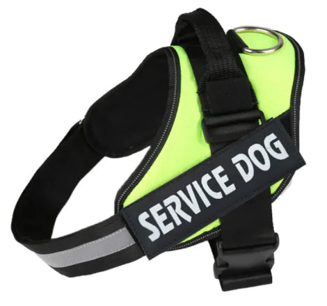 Pawdrix – Personalized No-Pull Dog Harness with Custom Name Tag