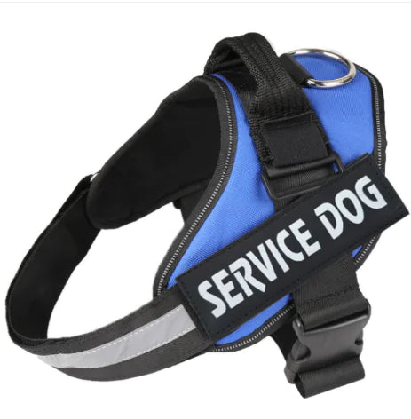 Pawdrix – Personalized No-Pull Dog Harness with Custom Name Tag