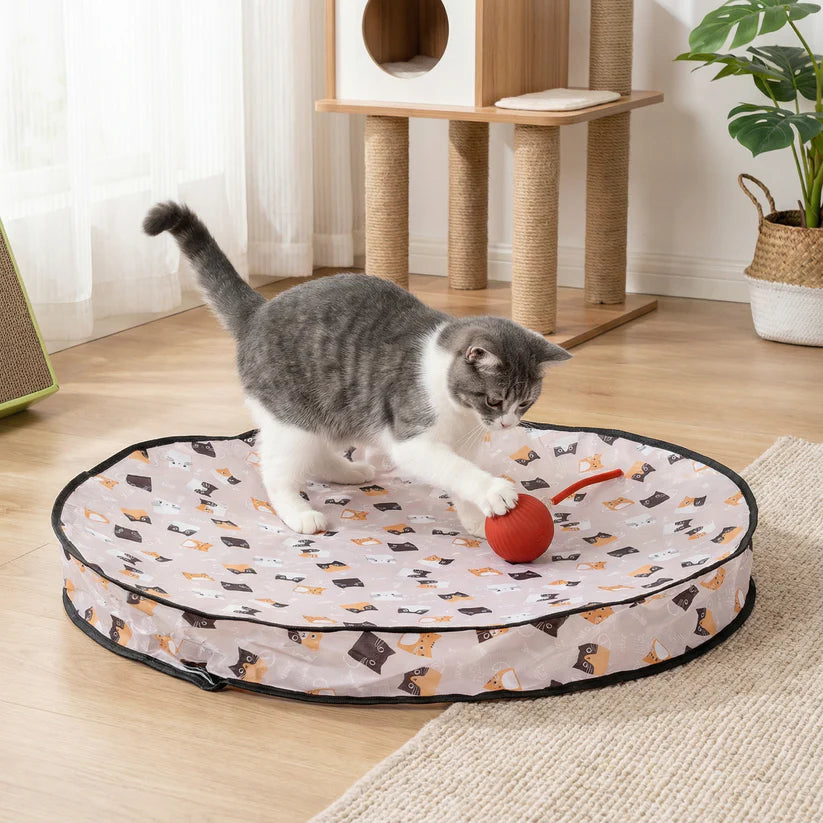 Pawsera – Interactive Hide & Seek Cat Toy for Smart Play