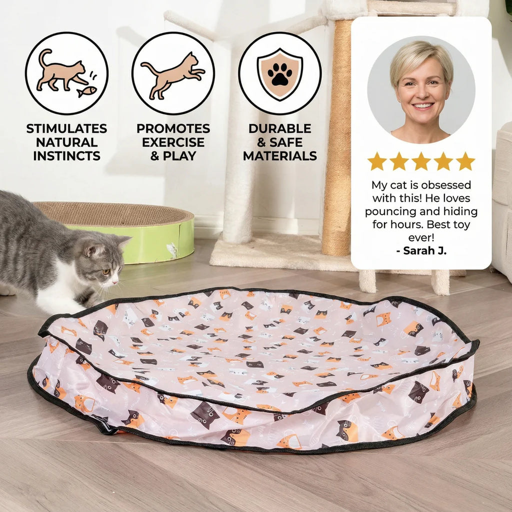 Pawsera – Interactive Hide & Seek Cat Toy for Smart Play